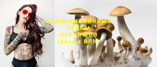 не бодяженный Осташков