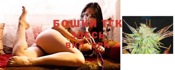 дурь Пестово