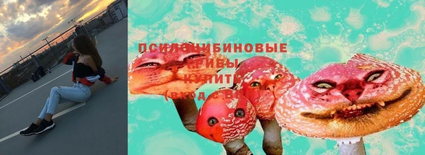 хмурый Переславль-Залесский