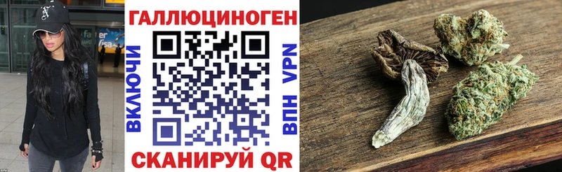 Псилоцибиновые грибы Psilocybine cubensis Чишмы